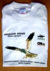 CAMISETA Aguilucho cenizo